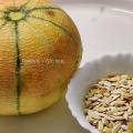 10 seeds of muskmelon kitchen garden. 