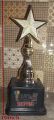 Star Shaped Best Performance Trophy - Golden & Black. 