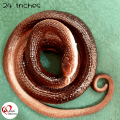Realistic Artificial Rubber Snake - Big Size 50 Inch Fake Snake for Pranks & Toys - Perfect Rubber Snake Toy for Kids & Adults - Ideal for Fake Snake Pranks Daraz Pakistan. 
