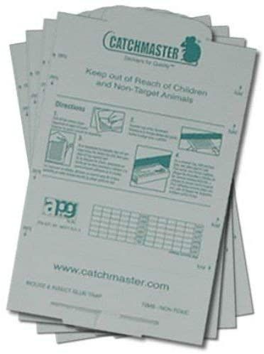 CATCHMASTER%20Mouse%20Catcher%20Glue%20Trap%20Board%20-%20Mouse%20Glue%20Traps%20/%20Easy%20to%20get%20rid%20of%20the%20mouse%20/%20Sticky%20Boards%20Mouse%20Catcher%20/%20Glue%20Trap%20High%20Effective%20/%20Rat%20Glue%20Catch%20Trap%20/%20Rat%20Catcher%20/%20Non-Toxic%20and%20Non-Poisonous%20Odorless/%20Mouse%20(USA%20IMPORTED)%20Pack%20Of%203%20-%20Image%205