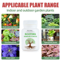 Rooting Hormone Powder for Plants - Rooting Hormone for Cuttings - Suitable for Violets, Azaleas, Rose, Geraniums, Coleus, Orchids and Most Indoor and Outdoor Plant - Moji Mall. 
