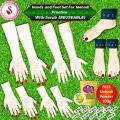 High Quality Reusable Mehndi Practice Foot  and Hands For Henna Practice - 4 Bridal Hands, 4 short hands and 3 Foot  With Free Scrubs. 