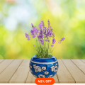 Multan Blue Pottery Vase, 5"x5" – Traditional Handcrafted Decorative Piece.. 