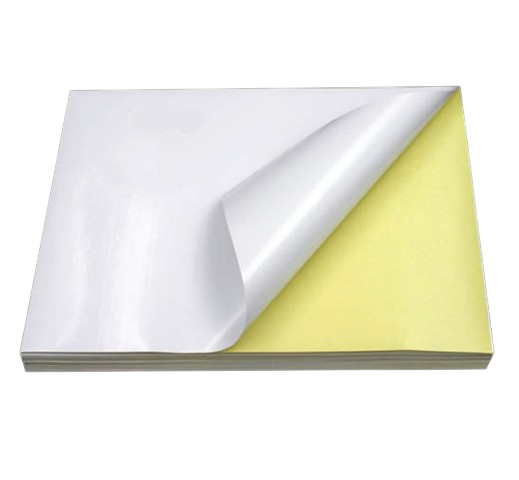 True-Ally Sticker Self-Adhesive Glossy Photo Paper A4 Size 200 GSM for Inkjet Printer (White) Dries Quickly DIY Sticker Printing Label Art (A4-20 Sheets) Unruled A4 200 gsm Photo Paper  (Set of 1, White)