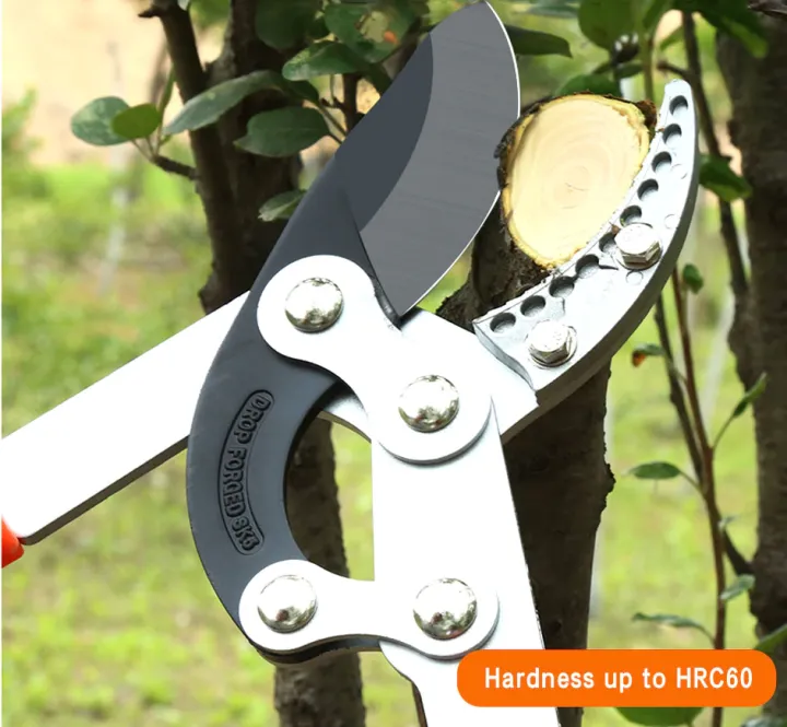 Telescopic%20Garden%20Tree%20Pruning%20Shears%20High%20Branch%20Pruning%20Tool%20Long%20Reach%20Aluminium%20Handle%20Fruit%20Knife%20Picker%20Pruner%20-%20Image%203
