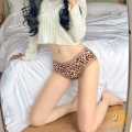 Sexy Cheetah Leopard style net panty Women Seamless Panties Underwear. 