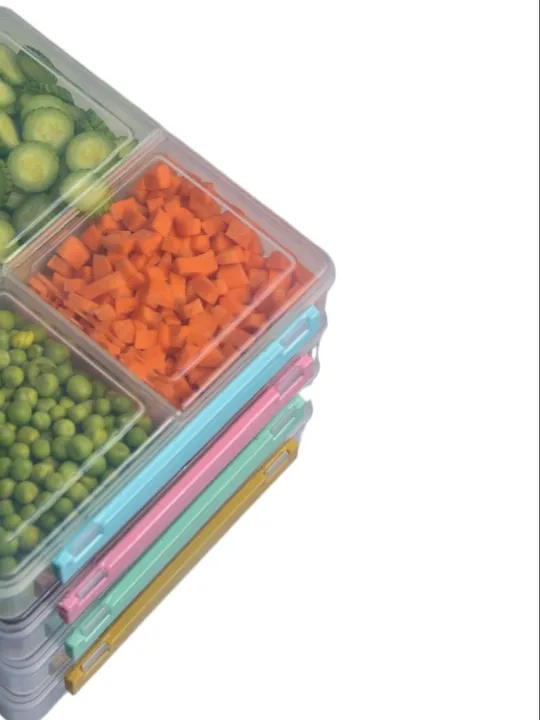4%20Grid%20Airtight%20Freezer%20Box%20With%20Lid%20&%20Lock%20%7C%20Clear%20Storage%20Box%20%7C%20Frozen%20Food%20Fruit%20Organizer%20-%20Image%204
