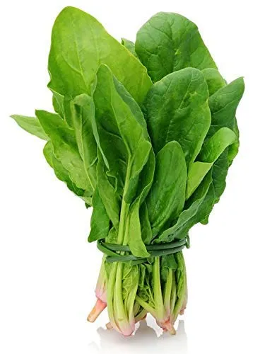 Seeds%20vegetable%20Spanich%20green%20(%20%D9%BE%D8%A7%D9%84%DA%A9%20)%20vegetable%20seeds%20-%20Image%203