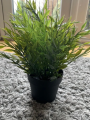 IKEA : FEJKA : Artificial Potted Plant - House Bamboo. 
