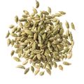 Cardamomum چھوٹی الائچی Elettaria Cardamomum سبز الائچی Green Cardamomum (20-g). 