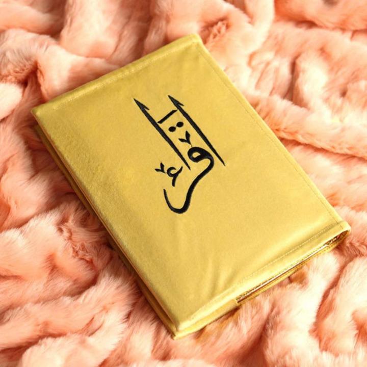 Velvet Book Cover (Embroidered AL IQRA)