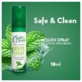 Safe & Clean Anti-Bacterial Formula Cool Mint Mouth Spray, 18ml. 