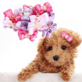 15 x Mixed Pet Small Dog Hair Bows Elastic Bands Puppy Cat Rhinestone Grooming. 