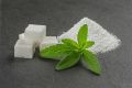Stevia Seed, Herb for sugar patents, 40 plus seed pack. 