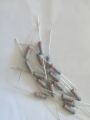 50 Pcs 2W Fusible Resistor - 3.3 ohm -  2 Watt Fuse Resistors 3Ω3. 