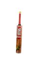 WB Sports Bull Fighter MRI Cricket Bat. 