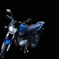 Seat Cushion Comfortable Prevents Back Pain Essential For Riders Universal For YBR. 