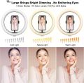 13" LED Ring Light with Tripod Stand and Phone Holder, LED Desktop Selfie 10 Brightness Level & 3 Light Modes 164 Bulbs 2700-6500k with Remote Control for YouTube Video/Live Stream/Makeup/Photography.. 