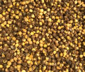 High-Quality Roasted Chana (Chickpeas) – Bhuna Chana with Shell, Nutritious and Crunchy, Roasted chana,
Roasted chickpeas, 
Roasted chana 1 kg
chana roasted, Black Chana, Bhuna Chana, chana roasted, high quality. 
