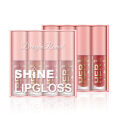 Dragon Ranee - 4pcs Set Shine Lipgloss. 