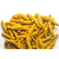 Sabut Haldi (Whole Turmeric) 100 gram. 