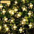 PACKIFY 20 Moon LED Fairy Lights Battery Operated - Led Lights for Room Decoration - String Garland Light for mirror. 