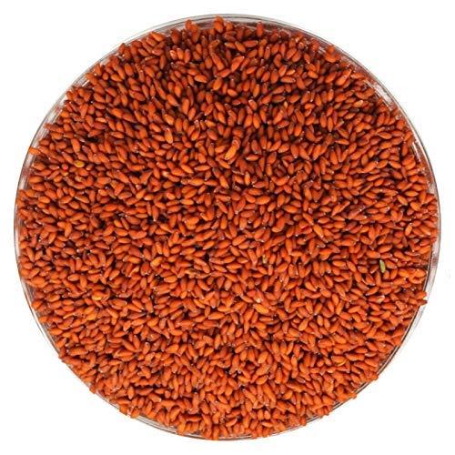 Halim%20Seeds%20100g%20%7C%20Asaliya%20Seeds%20%7C%20Aliv%20Seeds%20%7C%20Garden%20Cress%20%7C%20Haleem%20Seeds%20Brand%20-%20Image%204