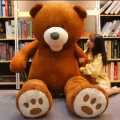 5 feet brand new American stuff Teddy Bears in (Pakistan) sell on Wholesale price Big Market. 