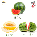 Fruit seed Pack Hybrid F1 Anarkali Watermelon , Desi Watermelon and Desi Melon seeds By Moji Mall. 