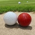 Cricket Swing Ball Synthetic (156 Garam). 