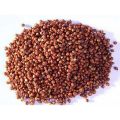Red Sorghum Grains (Laal Jowar) (1 KG). 