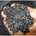 Niger Seeds 500gm Oily Seeds full nutrition for all types of birds. 