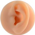 1 Pc Silicone Ear Model Reused Ear Displays Mould Professional Piercings Practice Tools for Earrings Ear Studs Display. 