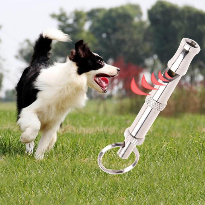 Pet Dog Training Obedience Whistle Ultrasonic Supersonic Sound Pitch Quiet Adjustable Flute Puppy