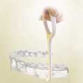 Orthodontic Invisible Brace Removal Tool Removable Plastic Hook Aligner Retainer Oral Care Dentistry Ortho Tools. 