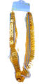 New Trendy Design Fashionable Multi Chain Layered Necklace For Women & girl. 