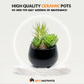 Black Ceramic Pot With Artificial Plant And Pebbles Home Decor. 
