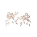 Decoration Women High Heels Buckle Shoe Accessories Wedding Shoes Buckle 1 Pair Fashion Shoe Clip DIY. 