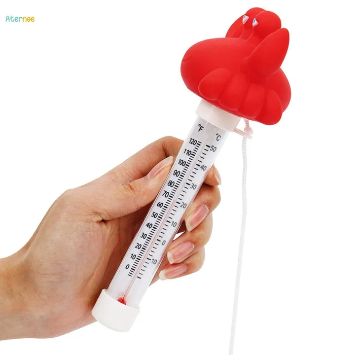 Floating%20Pool%20Thermometer%20Pond%20Thermometer%20Professional%20Easy%20Read%20Aquarium%20Thermometer%20for%20Outdoor%20Indoor%20Swimming%20Aquariums%20Ponds%20Spas%20-%20Image%206