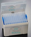 Low Retention Filtered Pipette Tips, Sterile Pipette Tips Box (from 100 ul to 1000 ul). 