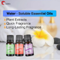 CERTO Home Water Soluble Fragrance Essential Oil 10ML for Diffuser Air Purifier Humidifier Aromatherapy DIY Candle Soap Fragrance Perfume Home Air Refresher Minyak Esensial Pati Aromaterapi Wangi Pewangi Rumah Bilik香薰精油. 