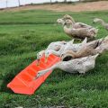 PLASTIC FLIP FLOP POULTARY FEEDER BIRDS FEEDING TRAY. 