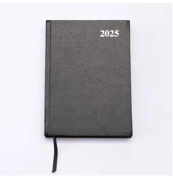 Standard Notebook Dairy 2025 Year 10x6 inch Best for Student Office work Personal Gift