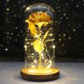 Rose In Flask Beauty And The Beast Gold-plated Red Rose With LED Light In Glass Dome For Wedding Party Mother's Day Gift. 
