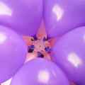 Decoration Items Plastic Flower Balloons Clip Balloons Decoration Balloons Accessories Balloon Flower For Wedding Birthday Supplies 6Pcs. 