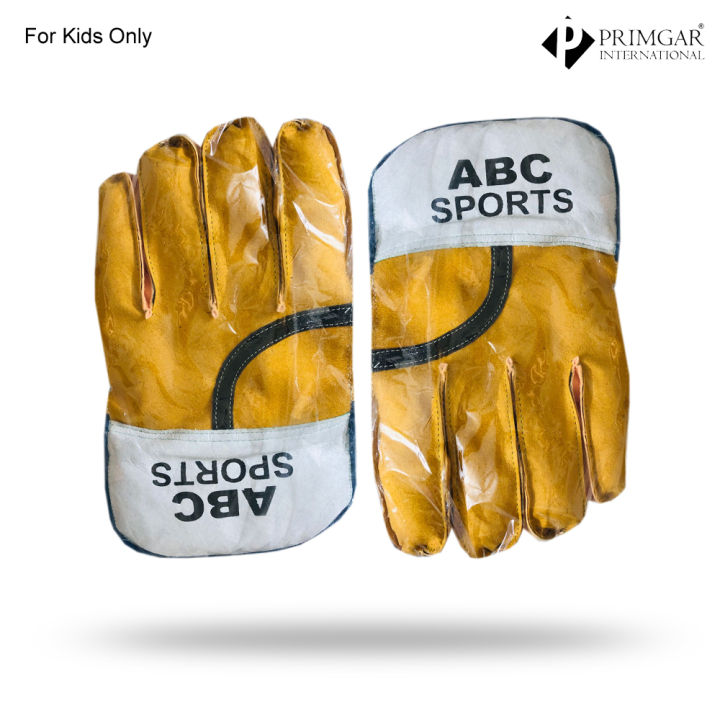 Cricket Wicket Keeping Gloves For Kids Daraz.pk