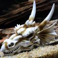 1 1Pc Dinosaur Skull Shaped Adornment Artificial Decor Resin Skull Model Fish Tank Decor Chic Craft For Aquarium Fish Tank. 