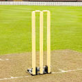 Cricket Wooden Spring Return Stumps With Bails & cast iron Base , Wickets. 