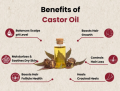 Castor Oil – Organic, Cold-Pressed | Hair Regrowth & Skin Moisturizer – 100ml. 
