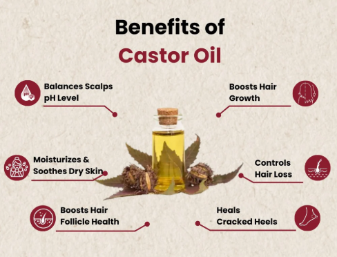 Castor%20Oil%20%E2%80%93%20Organic,%20Cold-Pressed%20%7C%20Hair%20Regrowth%20&%20Skin%20Moisturizer%20%E2%80%93%20100ml%20-%20Image%202